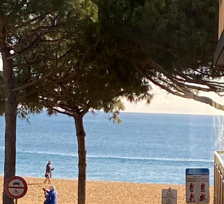 Primera Linea De Mar En Apartment